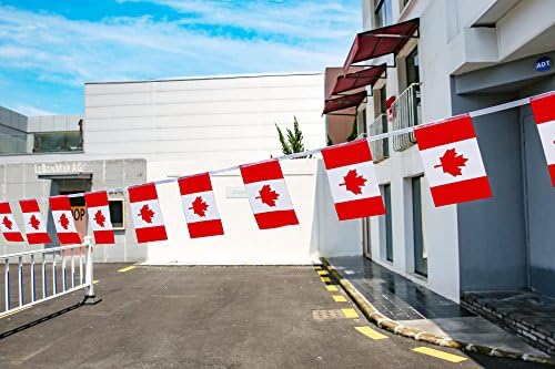 הנערה קנדה דגל דגל קנדה,100Feet/76Pcs הלאומי מדינה בעולם דגל דגלים באנר,המפלגה קישוט אספקה עבור האולימפיאדה,בר,בריכה