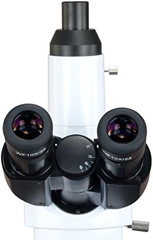 OMAX 40 X-3000X אינסוף תוכנית Trinocular LED קולר Siedentopf מיקרוסקופ עם חמסה Nosepiece