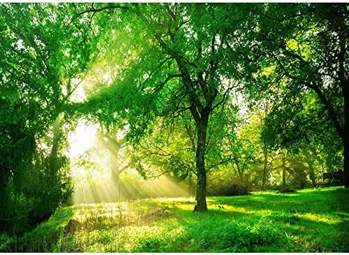 יער ירוק נוף טבעי צילום רקע נוף צילום דיוקן רקע סטודיו אביזרים A1 10x7ft/3x2.2m